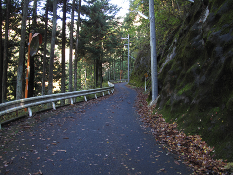 20151116hike (21)